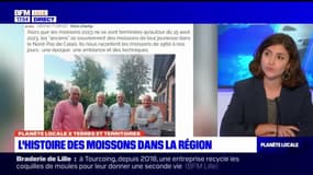 Planète Locale du lundi 4 septembre - L'histoire des moissons dans la région