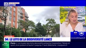 L'info en +: le loto de la biodiversité lancé 