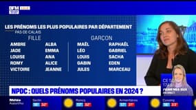 Nord-Pas-de-Calais: quels seront les prénoms les plus populaires en 2024?