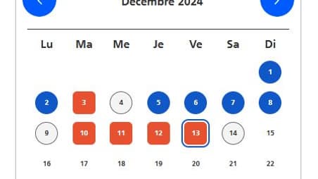 Le calendrier du tarif Tempo pour le mois de décembre 2024. Le restant du mois passé le samedi 14 est à date inconnu. (Capture d'écran effectuée le vendredi 13 décembre)