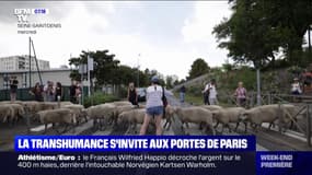 La transhumance s'invite aux portes de Paris