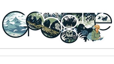 Un Doodle pour l'éthologue américaine Dian Fossey.