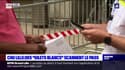 CHU de Lille: des "gilets blancs" pour scanner le pass sanitaire