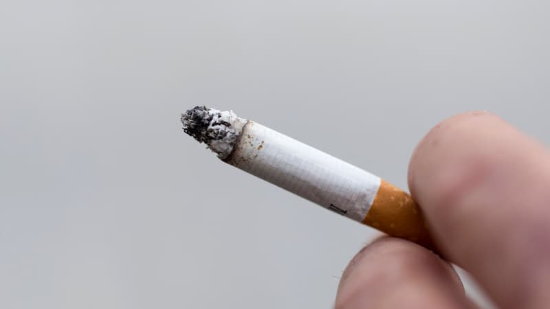 Le tabagisme a reculé en Union européenne pour l'année 2014.