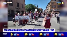 Strasbourg: plusieurs centaines de personnes manifestent pour défendre le droit à l'IVG