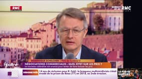 Schelcher : "Il y a des matières premières qui baissent depuis des mois"