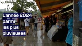  L’année 2024 est l’une des plus pluvieuses jamais enregistrée 