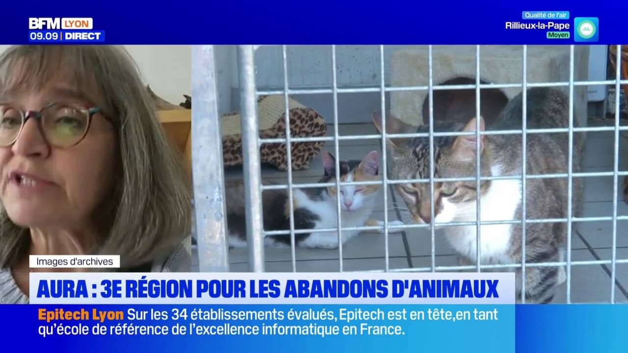 La région AURA est la 3e de France concernant les abandons d'animaux en 2025