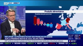 Dominique Schelcher (PDG de Système U): "Ça fait très longtemps que l'on n'avait pas vu ça [...] C'est une équation cette année très complexe" (inflation des prix)