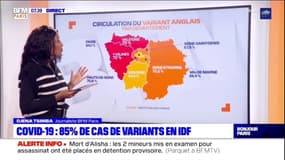 Covid-19 : 85% de cas de variants en Île-de-France