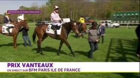 Courses hippiques: revivez le prix Vanteaux à l'hippodrome ParisLongchamp