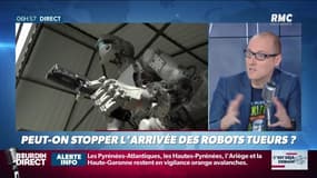 Anthony Morel: Les "robots-tueurs" vont ils nous envahir?