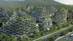 D'ici 3 ans, la ville végétale de Liuzhou (Chine) accueillera ses premiers habitants. 