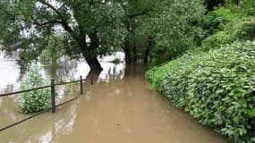 Crue à l'île de la Jatte - Témoins BFMTV