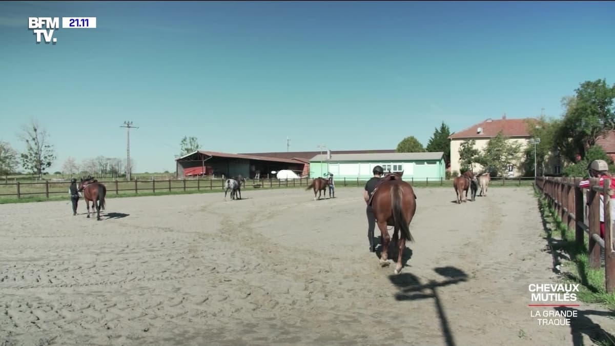 placeholder video