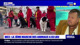 "Les Niçois aiment les animaux": la 3e Marche des animaux a eu lieu ce dimanche