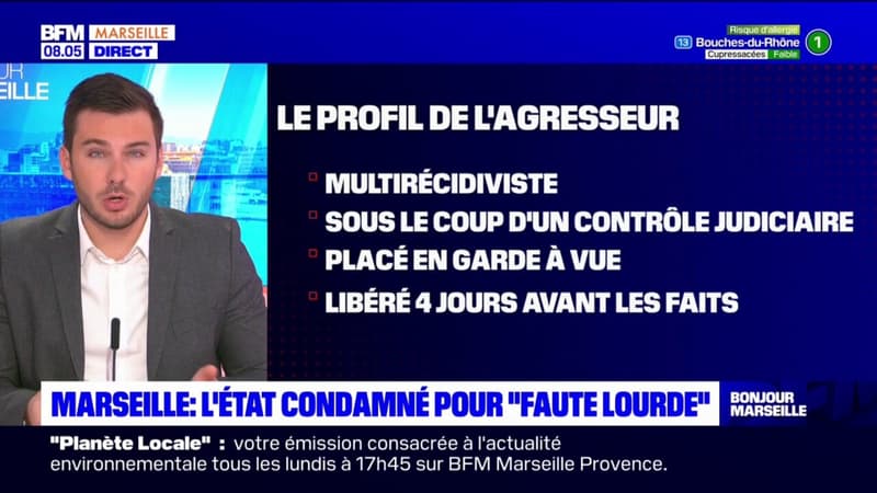 Marseille: l'Etat condamné pour "faute lourde" dans une affaire de violences conjugales