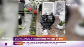 RMC s’engage pour vous : Chantal voulait être enterrée avec ses chiens - 12/10