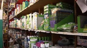 Dangers de l’insecticide sur les enfants: "Il faut tirer la sonnette d'alarme"