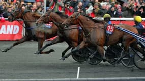 Le Grand Prix d'Amérique a lieu ce dimanche 26 janvier à Vincennes
