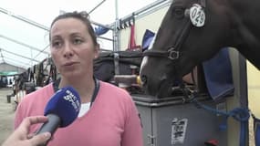 Équitation – Dans les écuries du Paris Eiffel Jumping