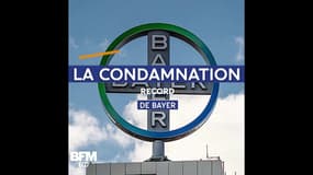 2 milliards de dollars : l'amende record de Bayer dans l'affaire du Roundup