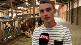 Maladie bovine: 121 vaches pourraient être abattues préventivement à Entrelacs