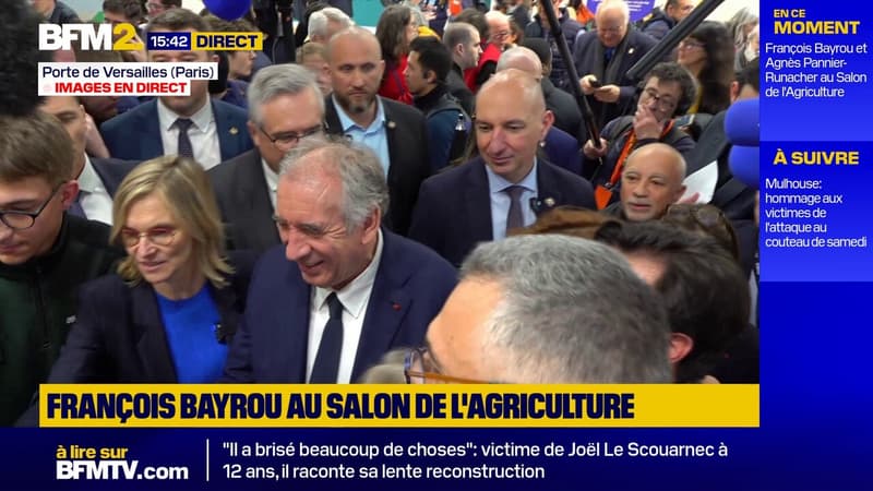 Bayrou, Bardella... les politiques au Salon de l'agriculture : le casse-tête derrière les déambulations