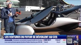 Culture IA : Les voitures du futur se dévoilent au CES, par Anthony Morel - 09/01