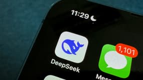 L'application Deepseek