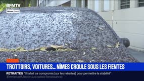 Focus Régions - 17/10