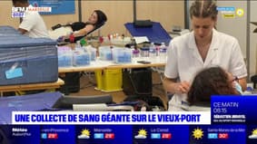 Marseille: une collecte de sang géante sur le Vieux-Port
