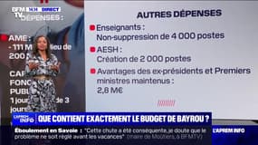 LES ÉCLAIREURS - Que contient exactement le budget de François Bayrou ?