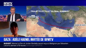 Gaza: "On assiste à la phase finale d'un génocide", assure Adèle Haenel, actrice et militante, à bord de la flottille "Global Sumud" 