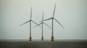 EDF a acquis un projet de parc éolien offshore d'une capacité de 450 mégawatts. (image d'illustration) 