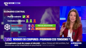 LA VÉRIF - Électricité: comment la France en est arrivée à ce niveau de tension ?