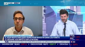 Philippe Gourdelier (Patrimea) : Il vous reste quelques jours pour investir dans les forêts et réduire vos impôts sur le revenu - 02/12