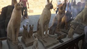  Ces dizaines de statuettes et de momies d'animaux ont été exhumées en Égypte 