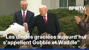 Donald Trump gracie des dindes à la Maison Blanche pour Thanksgiving 