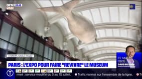 Paris: le Muséum d'Histoire naturelle fait revivre les animaux disparus grâce à la réalité augmentée
