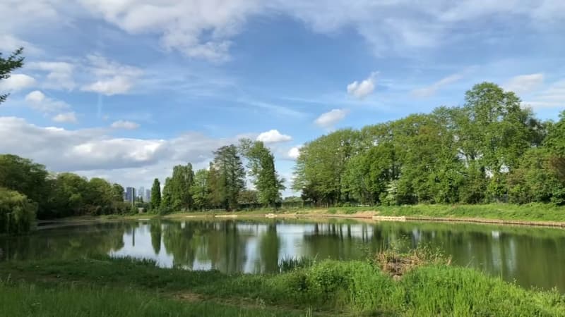 Le bois de Boulogne.