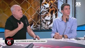 Cirques et animaux sauvages: "C’est une tradition du cirque depuis toujours !" 