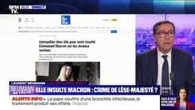 Neumann se fâche : Elle insulte Macron, crime de lèse-majesté ? - 30/03