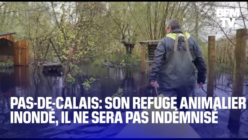 Pas-de-Calais: il se retrouve sans indemnisation pour son refuge animalier inondé