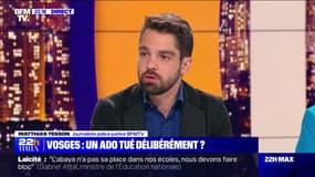 Vosges : un ado tué délibérément ? - 28/08