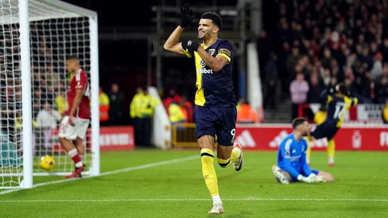 D. Solanke