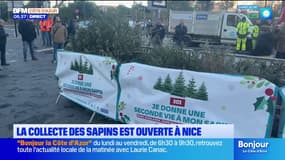 Nice: la collecte des sapins de Noël est ouverte