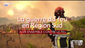 La guerre du feu en Région Sud : agir ensemble contre le feu
