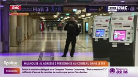 Gare de Mulhouse: L'agresseur au couteau toujours en garde à vue