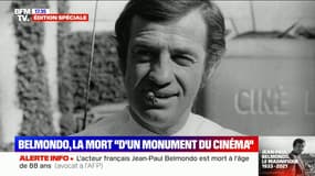 "C'est le meilleur copain qu'on avait tous envie d'avoir": Christian Brincourt rend hommage à son ami Jean-Paul Belmondo
